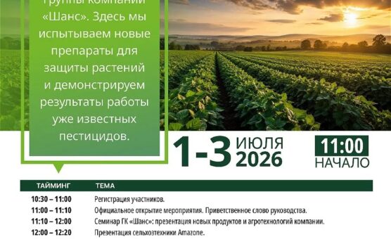 Друзья, продолжаем серию наших летних выставок!