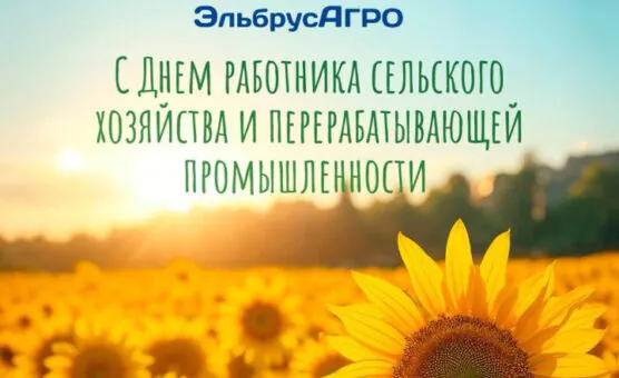 С днем работника сельского хозяйства и перерабатывающей промышленности