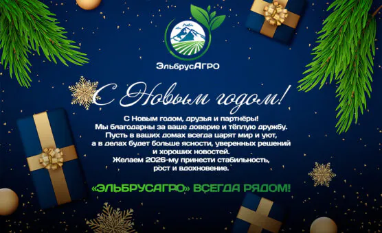 С Новым годом, друзья и партнёры!