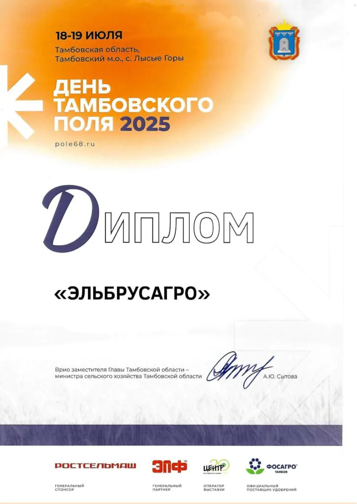 День Тамбовского поля 2025